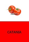 CARTE TERRITORI HD03.jpg